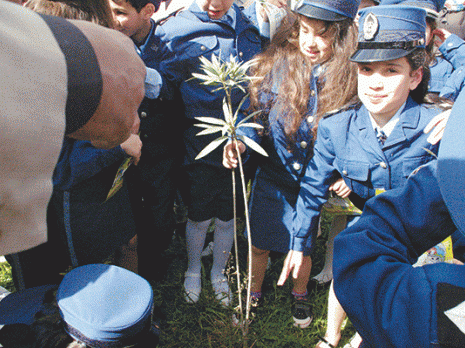 Concours de la DGSN pour des cités vertes