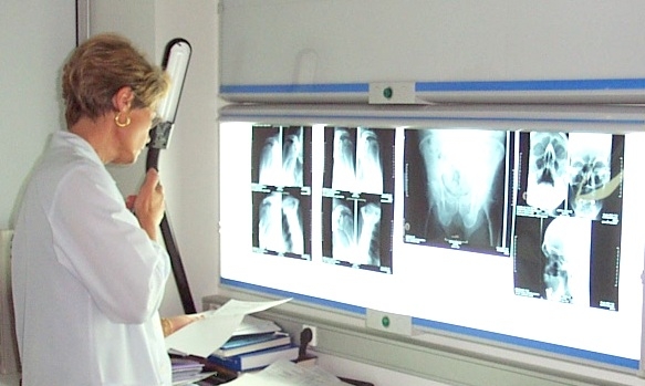 18ème congrès national de radiologie au CHU de Sétif