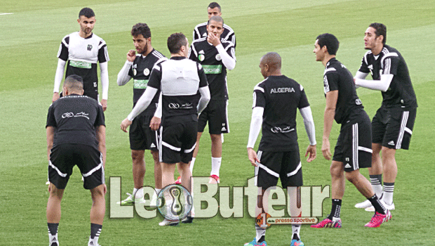 Qatar - Algérie, aujourd'hui à 17h