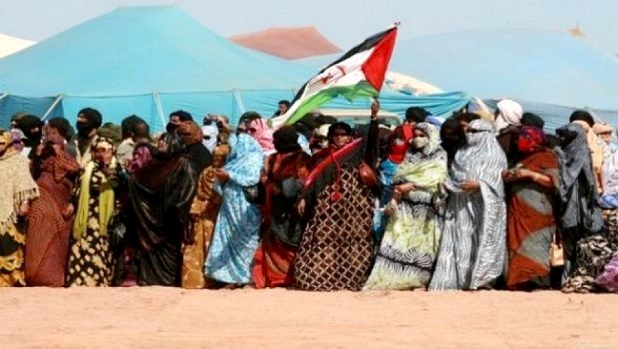 Les femmes sahraouies 