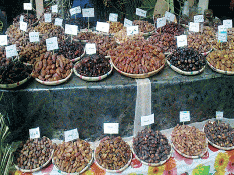 Un marche-pied pour l'organisation de la filière phoenicicole