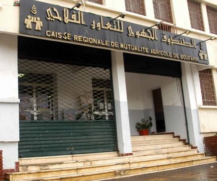 فوضى في صندوق التعاضد الفلاحي بالجلفة!