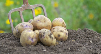 AU MOMENT OÙ SON PRIX RESTE ENCORE ELEVE