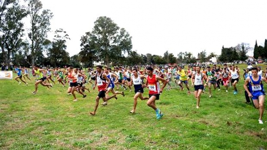 Cross-country/Mondial 2015