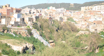 LE PHENOMENE PREND DE PLUS EN PLUS D'AMPLEUR