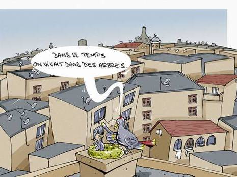 Le béton asphyxie le nord de l'Algérie