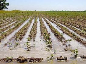 Collaboration ministérielle