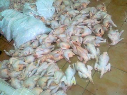 حجز 13 قنطارا من اللحوم البيضاء منها 5 قناطير غير صالحة للاستهلاك