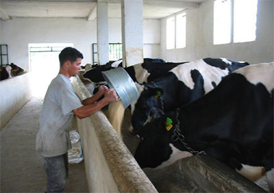 Les éleveurs demandent une régulation