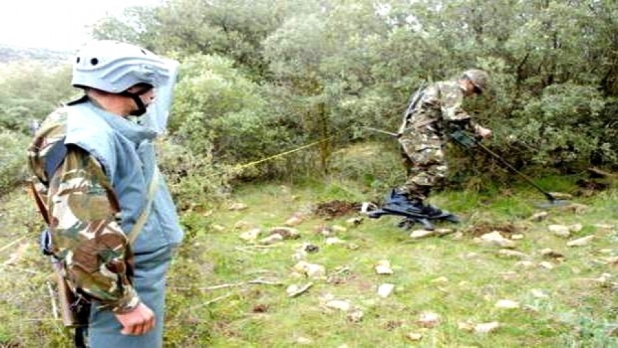 Plus de 720.000 mines détruites depuis 2004 en Algérie (ANP)