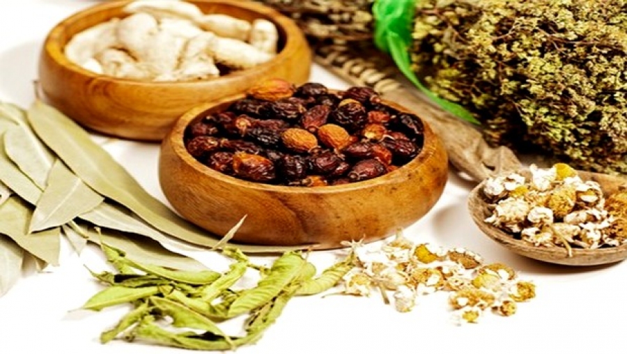 rencontre sur l'apport de la médecine prophétique dans le traitement des maladies incurables