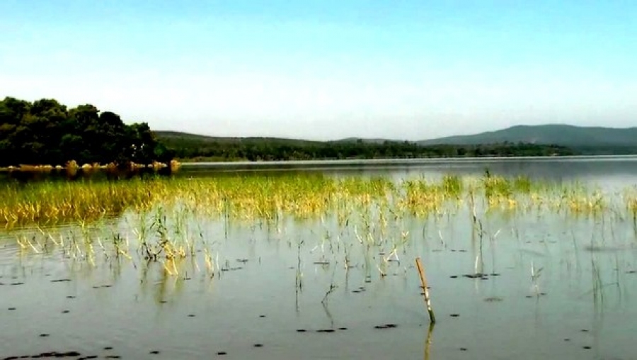 Deux jeunes portés disparus au Lac Oubeira, près d'El Kala