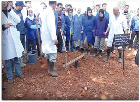 تكوين 250 مستفيد في الفلاحة وإنتاج الحليب بسطيف