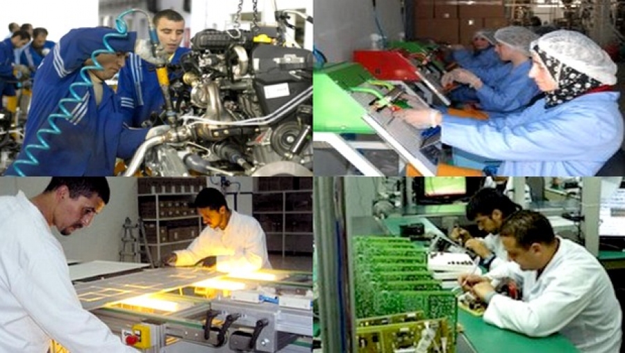 Dispositif d'aide à l'insertion professionnelle