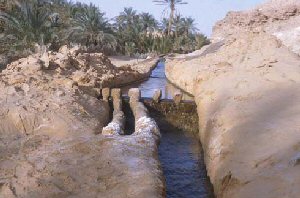 Journée d'information sur les Foggaras