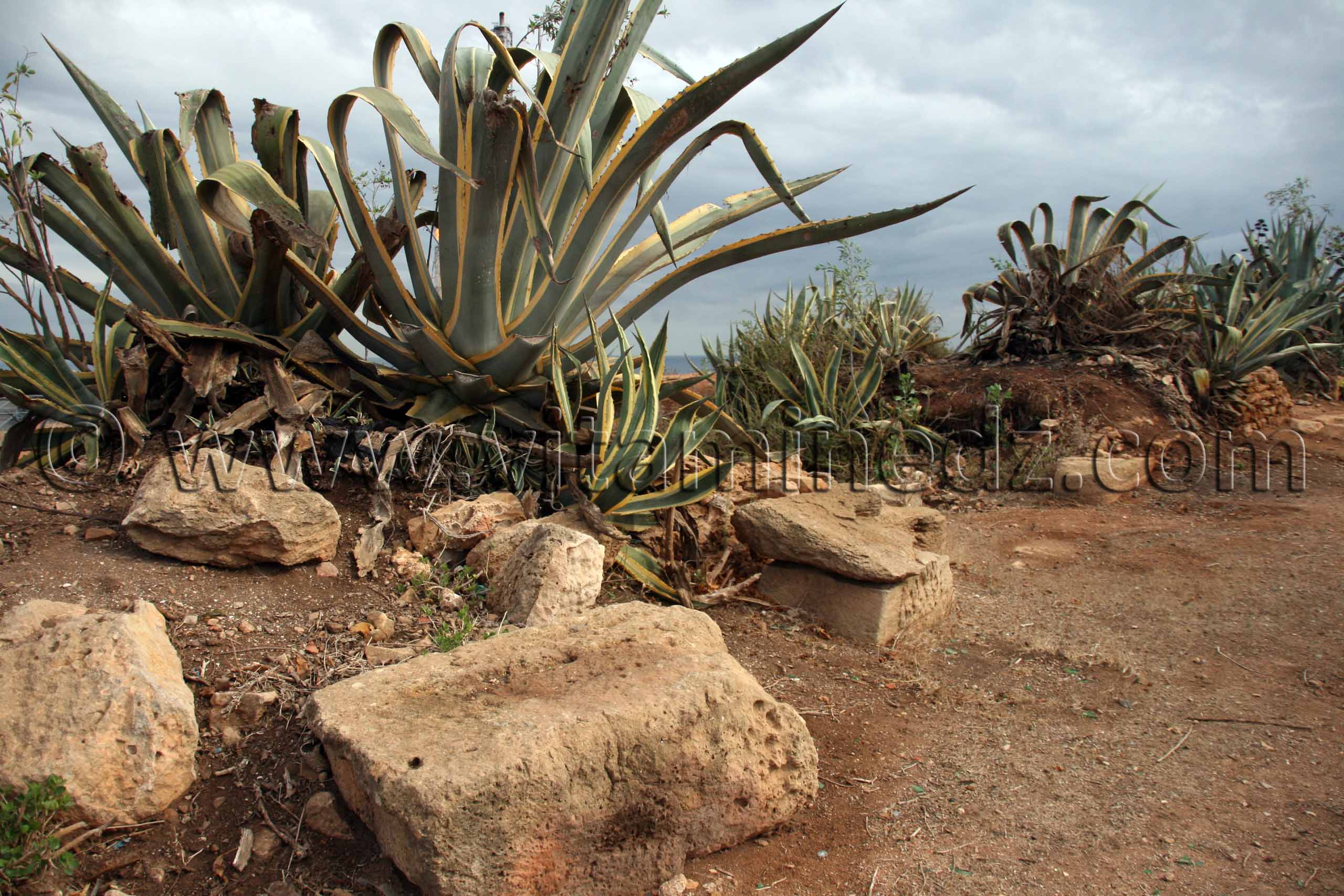 ‘’Portus Magnus’’, un village romain à l’abandon à Bethioua (Oran)