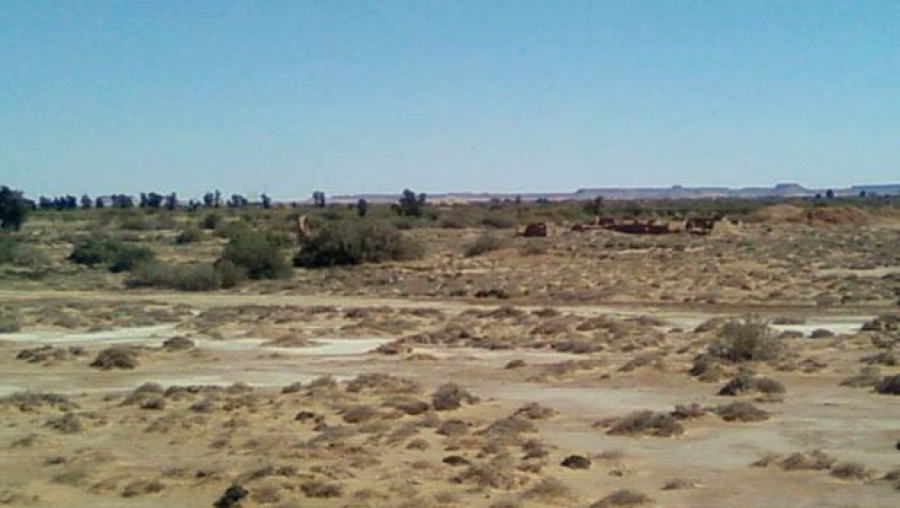 Nouri déplore la situation critique du périmètre agricole de la plaine d'Abadla