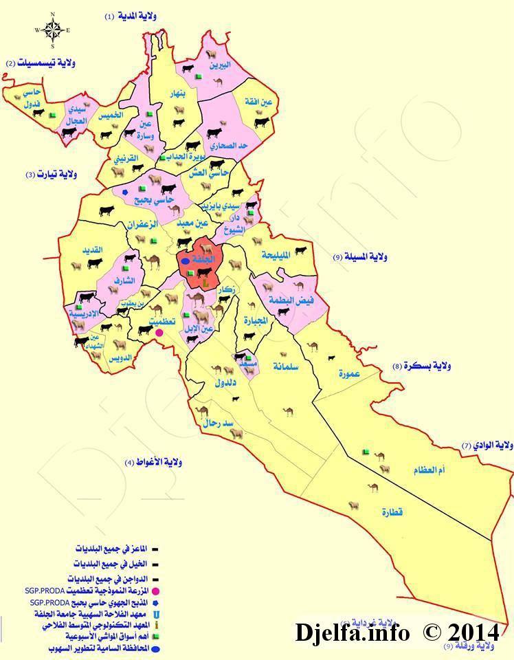 أكبر ثروة حيوانية 