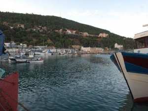 Le port de Ténès accorde une attention particulière à la lutte contre la pollution marine  Une croissance remarquable des activités portuaires est relevée ces dernières années