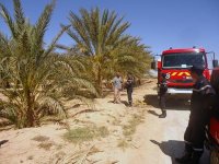 Les plages et les palmeraies sous haute surveillance durant l'été