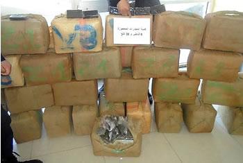 10 quintaux de kif saisis