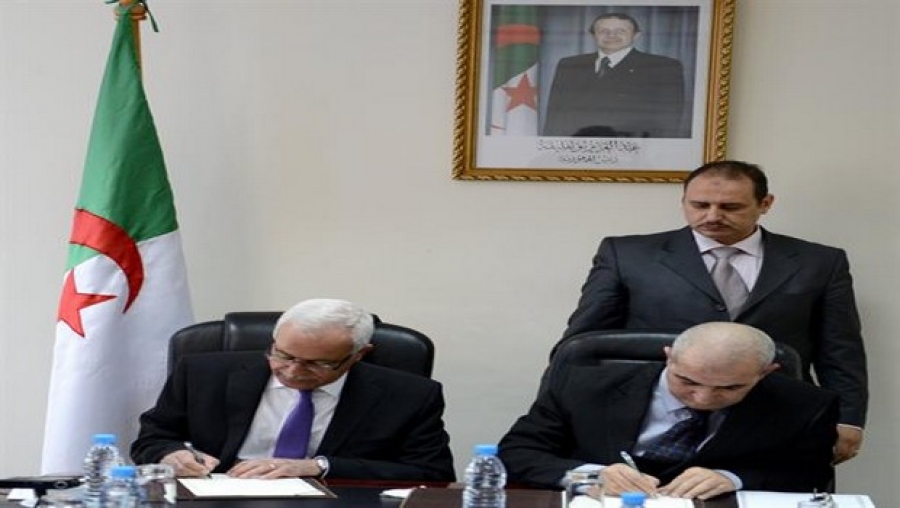 Promotion de Tamazight