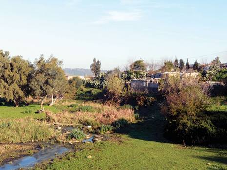 Egouts, baraques et sangliers