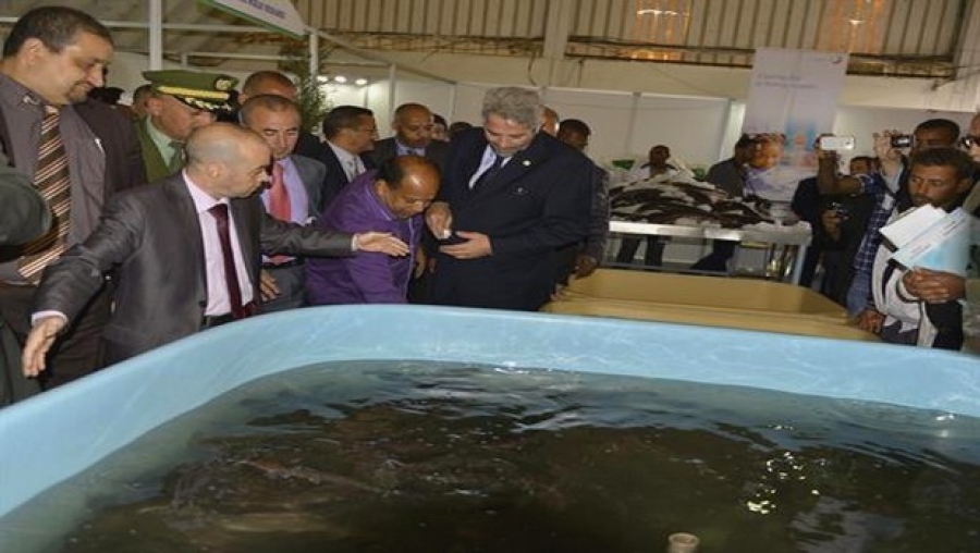 Des potentialités importantes au Sud pour développer les activités aquacoles