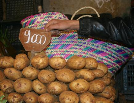 بطاطا رديئة بأسعار مرتفعة بأسواق سيدي بلعباس