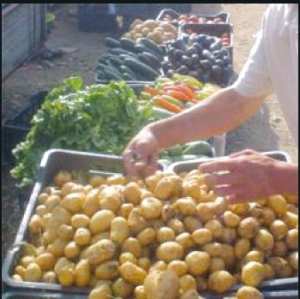 بطاطا رديئة بأسعار مرتفعة بأسواق سيدي بلعباس