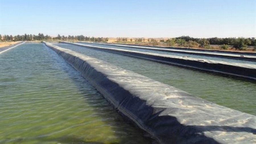 Début de recensement des agriculteurs concernés par la pisciculture à Adrar