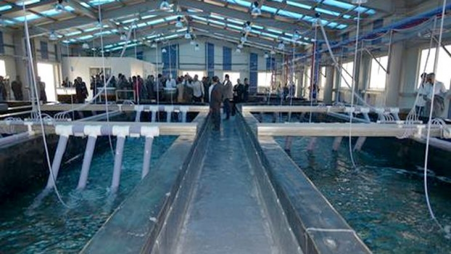 Nécessité d'encourager la formation appliquée dans les activités aquacoles