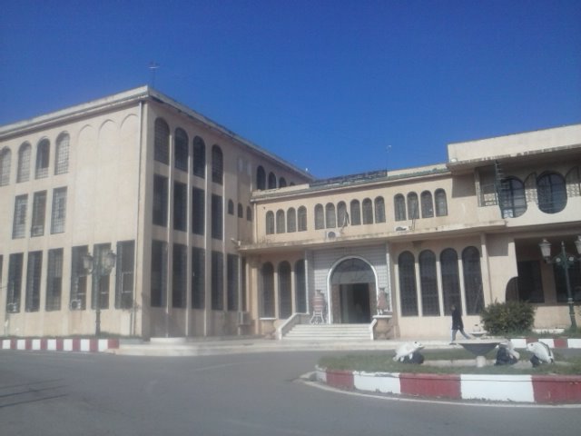 الولاية و 7 مديريات تسير بالنيابة بعين تموشنت م