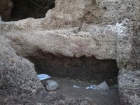 Nécropole phénicienne de Ténès. Série de tombes creusées dans des rochers.
