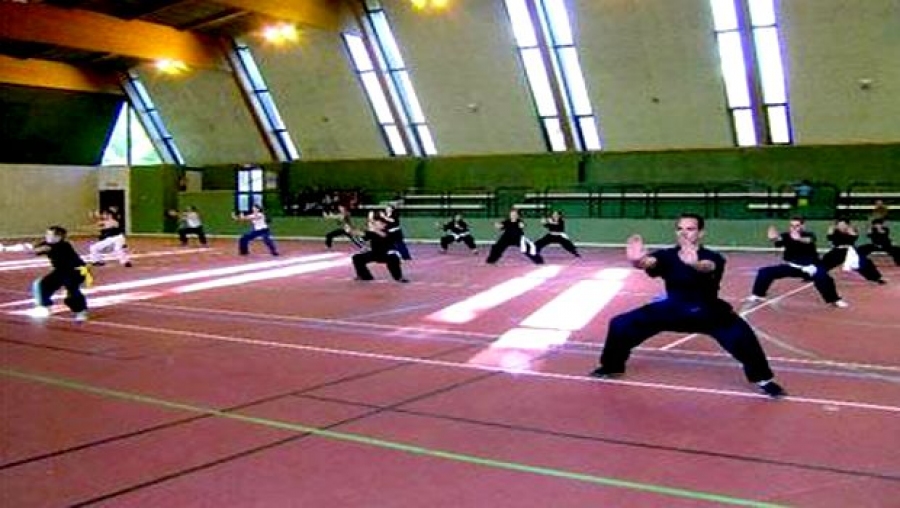 Kung Fu/championnat arabe des clubs champions