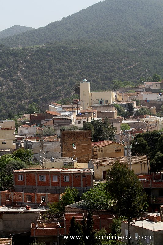 Mosquée du Vieux Ténès : lieu du culte de l’oubli ?