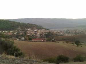 COMMUNE DE TALASSA (CHLEF) : La détérioration du cadre de vie dénoncée par les habitants