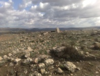 El Kalaa Timici Colonie romaine