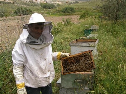 المربون يناشدون حلولا عاجلة لتحسين إنتاج العسل بسيدي بلعباس