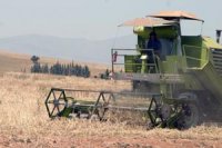 Un pôle des industries agroalimentaires bientôt créé