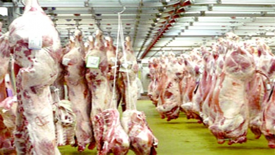Croissance de 11% de la filière viande rouge en 2014 (ministère)