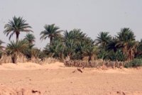 La bande verte sera livrée dans les délais