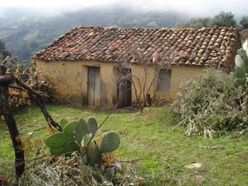 Une citadelle du savoir éclairé