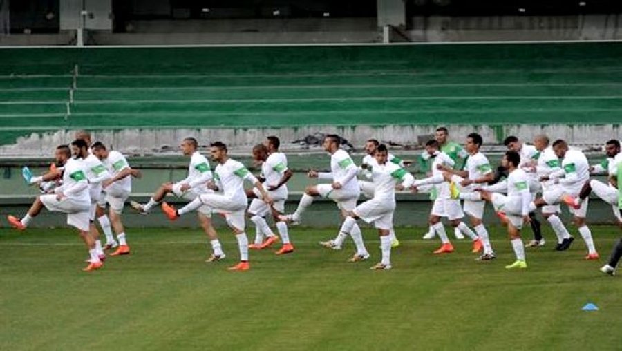 Halliche affiche les ambitions des Verts en vue des prochaines échéances