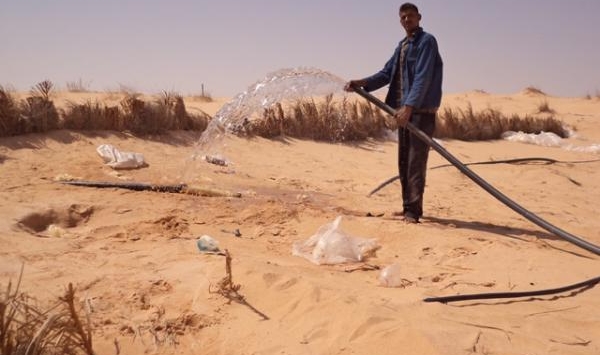 قطب للصناعات الغذائية الزراعية ببشار قريبا