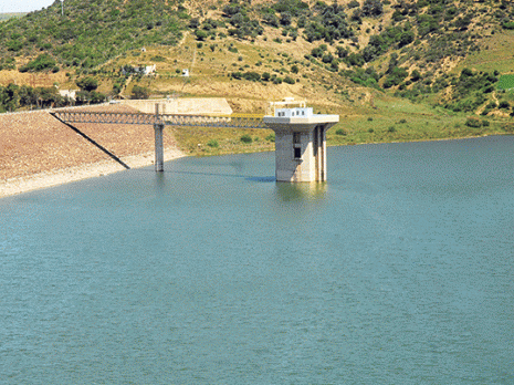 Les assurances de Hocine Necib