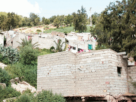 L'atteinte au domaine forestier continue