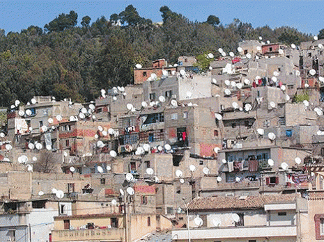 Qui arrêtera la dilapidation du patrimoine forestier '