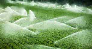 Augmentation de la production agricole