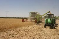 Identification de quatre projets algériens innovants dans l'agriculture et l'agro-industrie